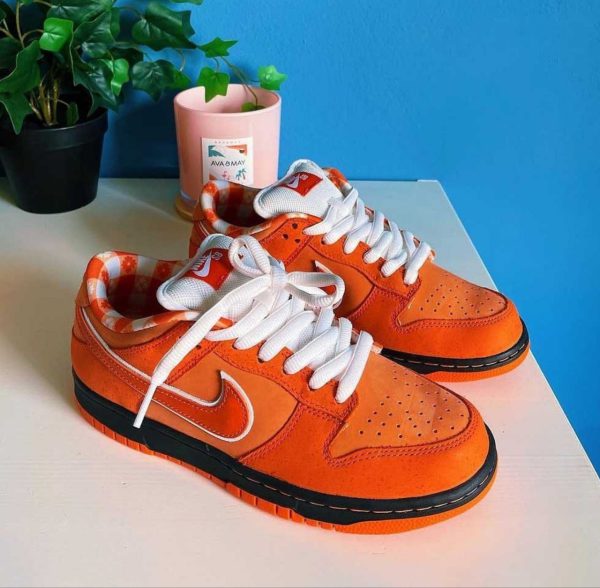 نایک اس بی دانک لابستر نارنجی Nike sb dunk lobster orange