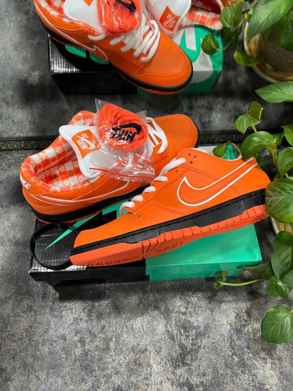 نایک اس بی دانک لابستر نارنجی Nike sb dunk lobster orange - Image 3