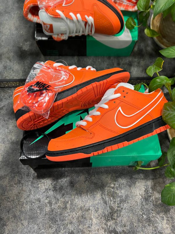 نایک اس بی دانک لابستر نارنجی Nike sb dunk lobster orange - Image 2